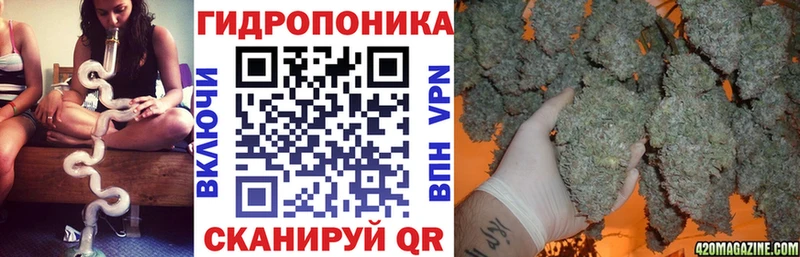 Бошки Шишки ГИДРОПОН  MEGA ссылки  Алзамай 